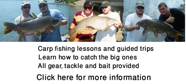 Canadian carp fishing guide, carp fishing lessons in Canada