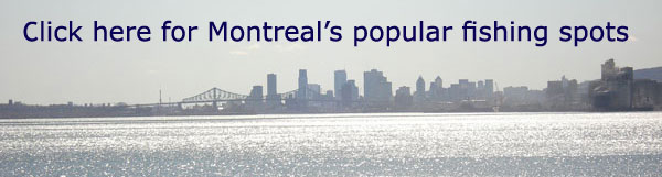 Montreal's best shore fishing spots