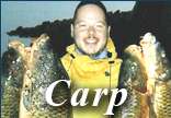 Carp Click Here