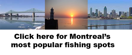 Montreal fishing spots