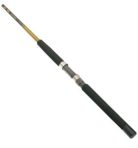 Buy a Shakespeare Ugly Stik 9 foot rod