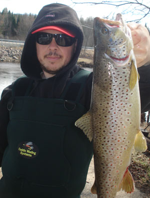 https://www.freshwaterphil.com/images/philbrowntrout042915.jpg